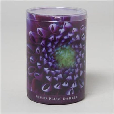 RGP 36641 Candle 15 Oz Glass Jar Pack Of 6