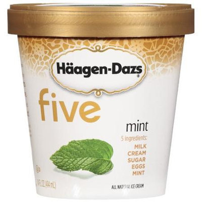 Haagen-Dazs Mint Ice Cream