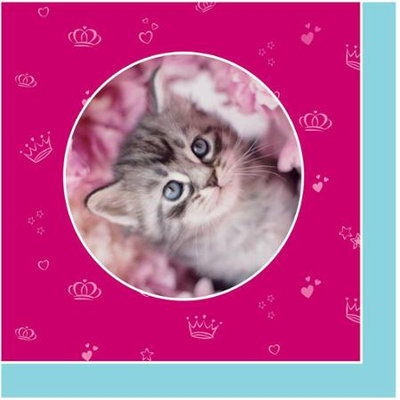 Birthdayexpress rachaelhale Glamour Cats Napkins (16)