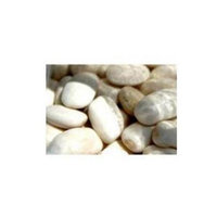 Bulk Peas & Beans Bulk Peas And Beans Organic 100% Organic White Canellini Beans 25 LB