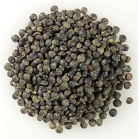 Bulk H Frenc Lentil Beans Organic 25 Lbs