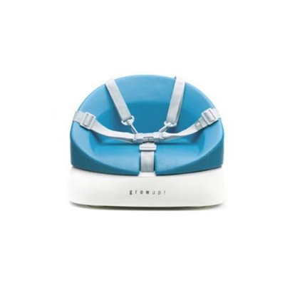 Mutsy Grow Up High Chair Booster Seat - Aqua