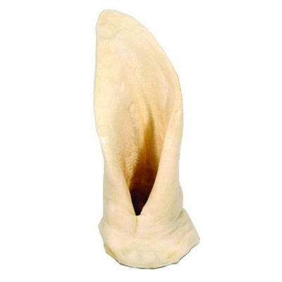 Best Buy Bones Puffed Lamb Ear Dog Treat 6 Inch 90221 Pack of 50