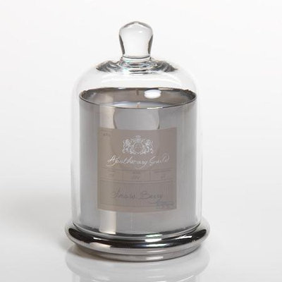 Apothecary Guild Scented Candle Jar with Glass Dome