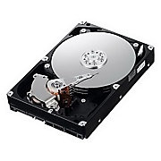 IBM 500GB 3.5