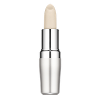 Shiseido Protective Lip Conditioner SPF 10