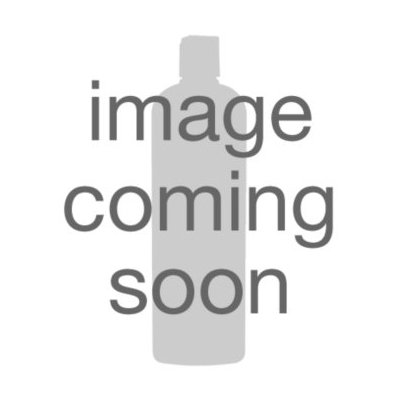 Jac-O-Net Silver Elegance Chignon Hairnet