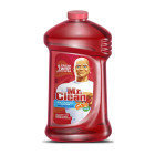 Mr. Clean Mr Clean w/Gain Apple Berry Cleaner - 48 oz