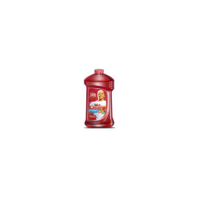 Mr. Clean Mr Clean w/Gain Apple Berry Cleaner - 48 oz