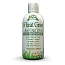 Garden Greens(tm) Wheat Grass with Real Ginger Extract