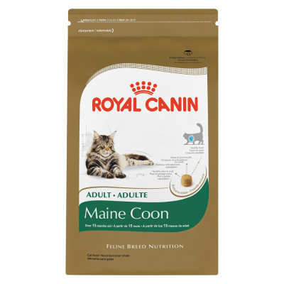 Royal Canin Feline Breed Nutrition Adult Cat Food Maine Coon