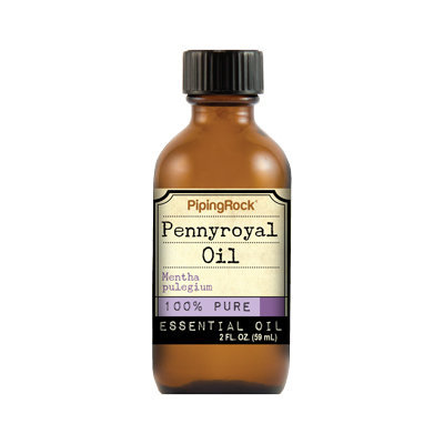 Piping Rock Pennyroyal Oil 2 fl oz Therapeutic Grade