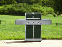 Kenmore Elite 550 Series 3 Burner Dual Fuel Green Gas Grill - waterbury garment