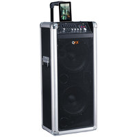 QFX - Portable Bluetooth PA Speaker