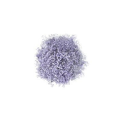 Galleria Glitter & Tinted Lavender Gypsophila (60 Stems)
