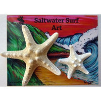 Set of 2 Hand Made Starfish Barrettes
