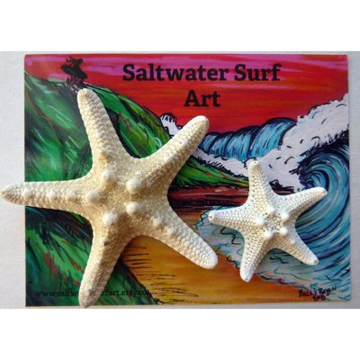 Set of 2 Hand Made Starfish Barrettes
