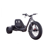 Go Bowen Go-Bowen Electric Drift Triker on 900W 36Vï¼ Silverï¼