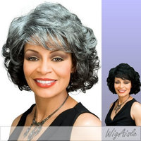 Foxy Silver (Barbara) - Synthetic Full Wig in F2369