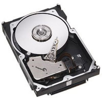 Seagate Cheetah 10K.6 36.70GB 3.5