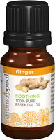 Aromappeal Ginger 100% Pure Essential Oil-10 ml Oil