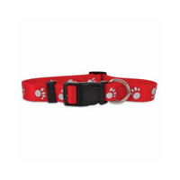PETCO 3/8 Single Ply Nylon Reflective Dog Collar in Red, Small
