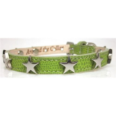 Around the Collar 2004C7LME8 Lime Lizard Grain Leather Collar with Nickel Stars 8 inch x . 5 inch