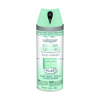 Valspar Color Radiance Destiny Indoor/Outdoor Spray Paint 407.0084514.076