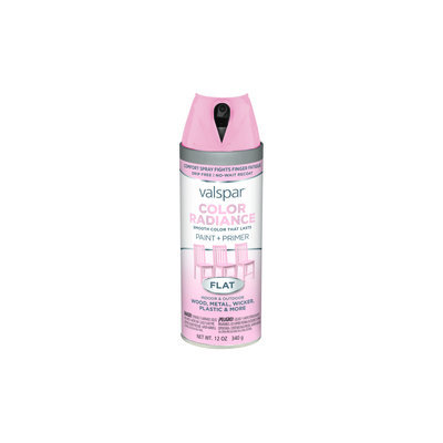 Valspar Color Radiance Rosy Cheeks Indoor/Outdoor Spray Paint 407.0084520.076