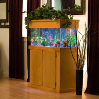 ES Rectangular Aquarium Stand