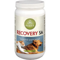 Recovery SA Powder 2.2 lb