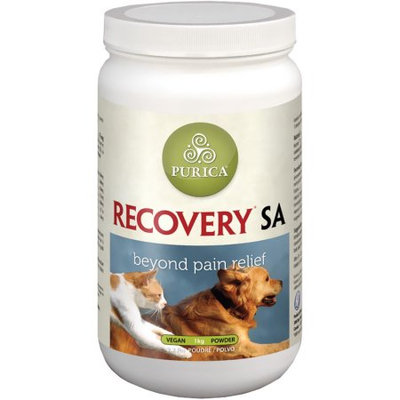 Recovery SA Powder 2.2 lb