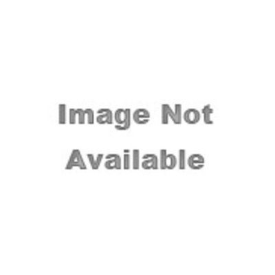 Bestt-Liebco - 501605200 - Paint Brushes Type: Trim Brush Bristle Shape: F