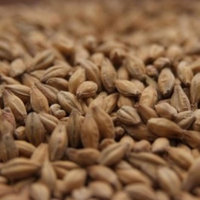 Simpsons Golden Promise - 1 LB, Crushed