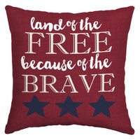 Arden Outdoor Solid Square Throw Outdoor Decorative Pillow TG34664B-9C6