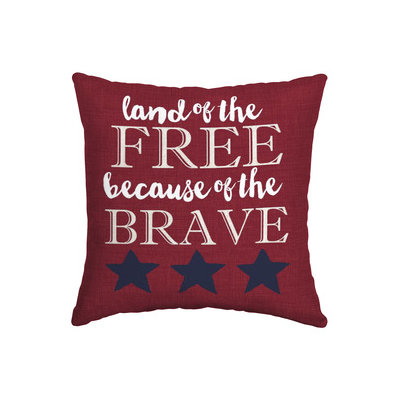 Arden Outdoor Solid Square Throw Outdoor Decorative Pillow TG34664B-9C6