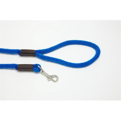 Purple Pebble LZ384BL 4 ft. x 0. 37 inch Leedz Medium Blue Leash