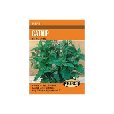 Heirloom Catnip
