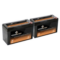 12V 9AH Sealed Lead Acid (SLA) Battery - T2 Terminals - for ZB-12-9 - 2PK