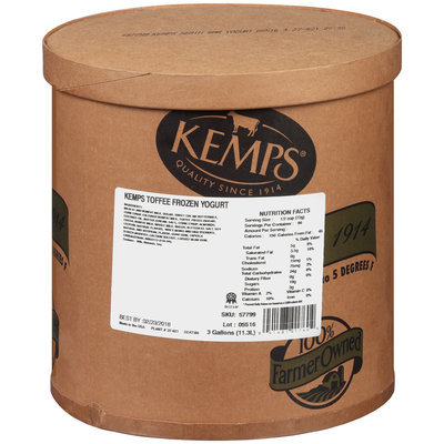 Kemps® Toffee Frozen Yogurt 3 gal. Tub