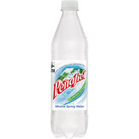 Penafiel® Mineral Spring Water 20.3 Fl Oz Bottle