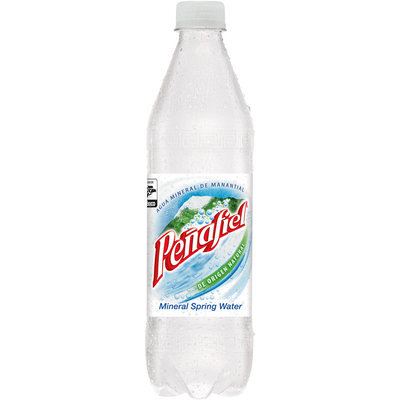 Penafiel® Mineral Spring Water 20.3 Fl Oz Bottle