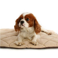 American Pet Diner 100FLLQC030 Flectabed Q 37 in. x 28 in. - Cream