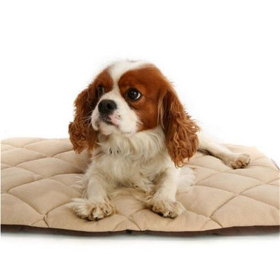 American Pet Diner 100FLLQC030 Flectabed Q 37 in. x 28 in. - Cream