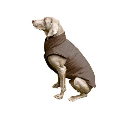 Scooter's Friends Puffy Dog Coat