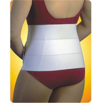 Living Health Products AZ-74-2212-L 12 in. 4 Panel Binder Large