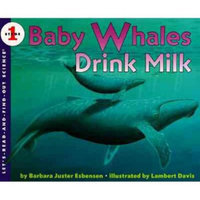 Baby Whales Drink Milk