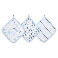 aden® by aden + anais® 3-Pack Washcloths in Dino Green