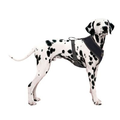 Mesh Large Dog Harness in Black