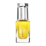 Leighton Denny International Collection - High Performance Colour Passport to Shine